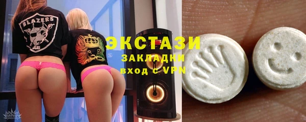 крисы Надым