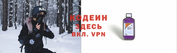 крисы Надым