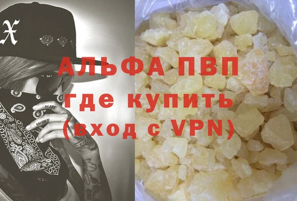 крисы Надым