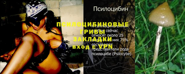 прущая мука Наволоки
