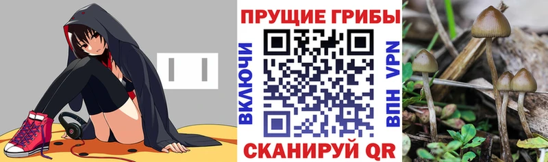 хочу   Усть-Катав  гидра сайт  Псилоцибиновые грибы мицелий 